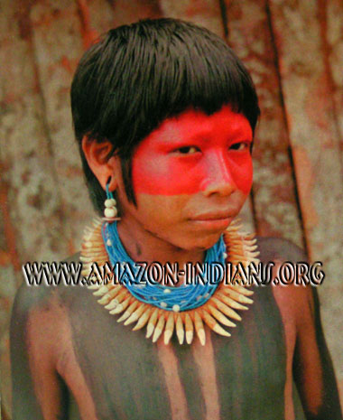 Kayapo Native